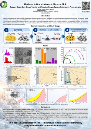 poster ECCS 2026 Zerjav.pdf